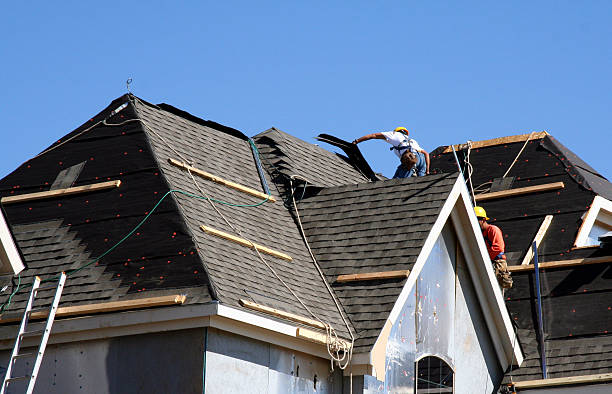Best Roof Gutter Cleaning  in Webster, SD