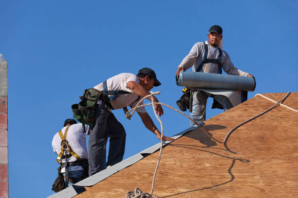 Best Commercial Roofing Services  in Webster, SD