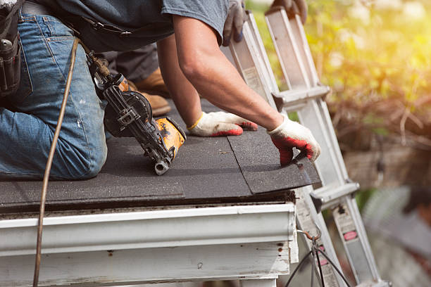 Best New Roof Installation  in Webster, SD